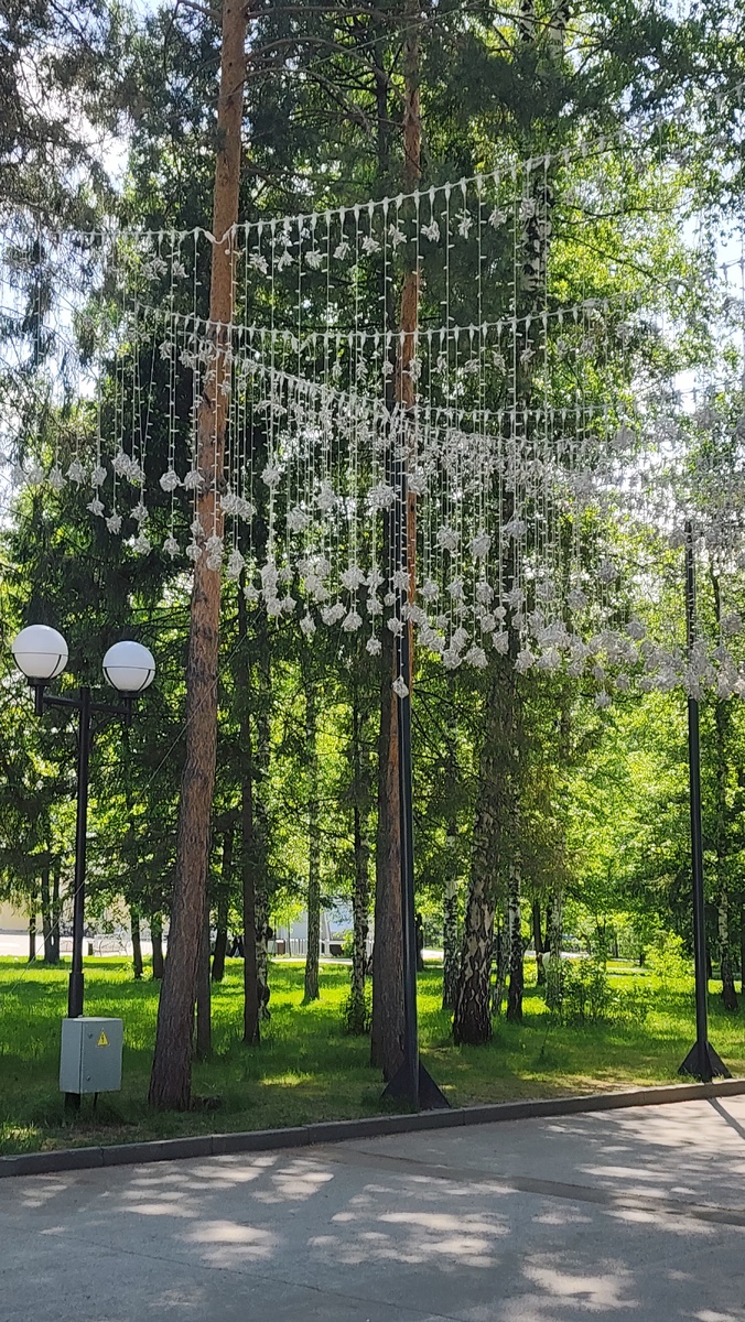 В Центральном парке.