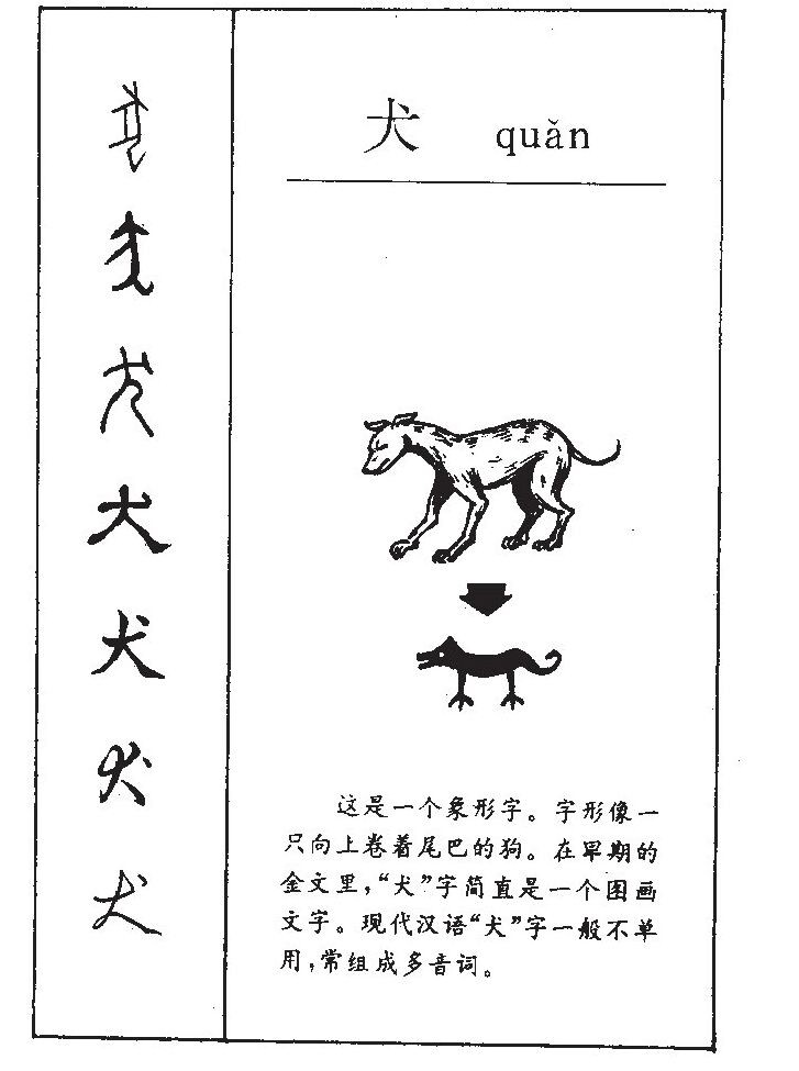 Эволюция иероглифа 犬 (quǎn) из древней пиктограммы