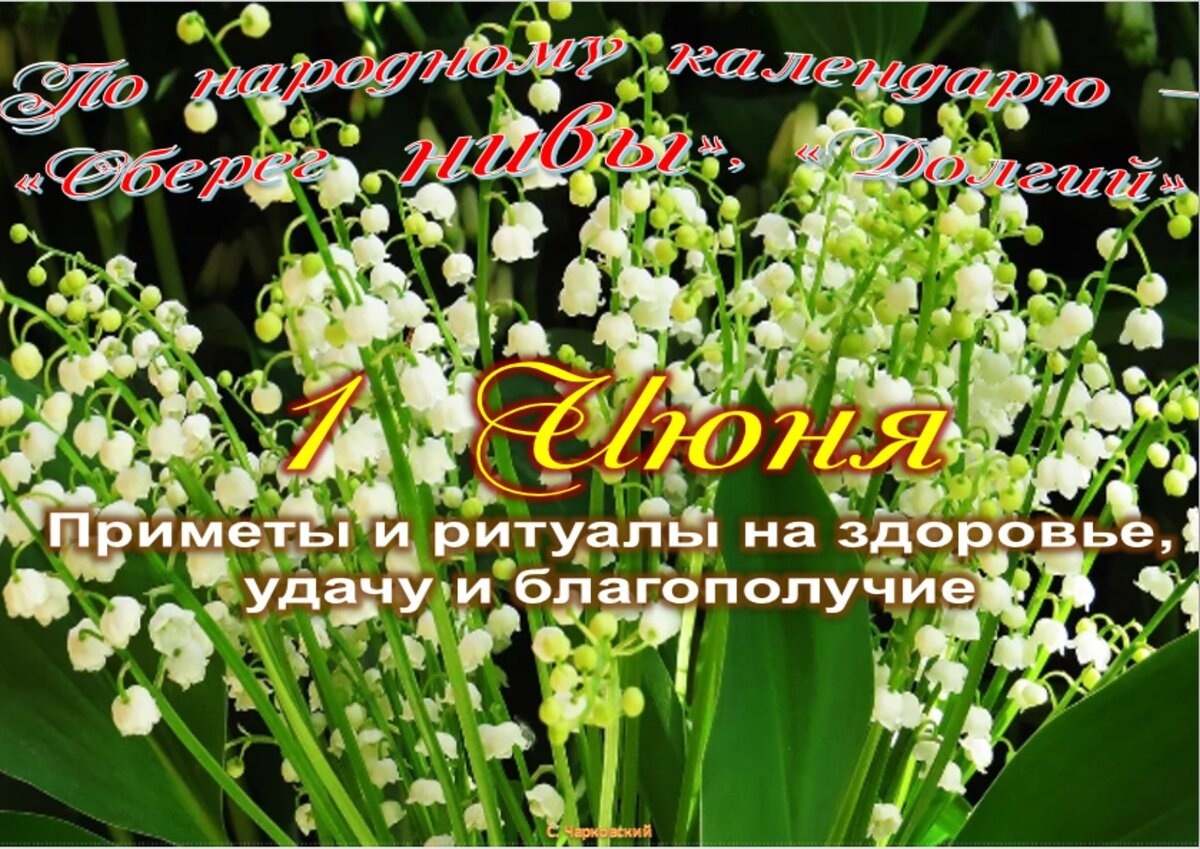 Встречаем новый день