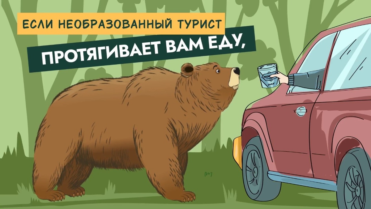 Фото: скриншот из мультфильма Кроноцкого заповедника