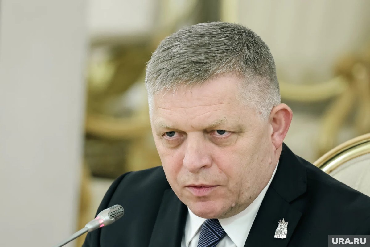     Люди, думающие о войне, видели ее только в компьютерных играх, считает Фицо