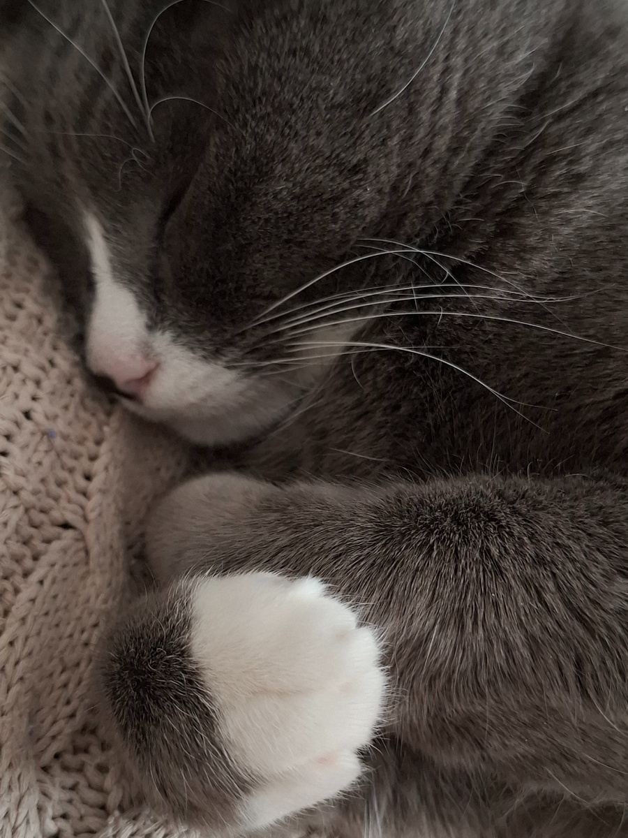 😸😸
