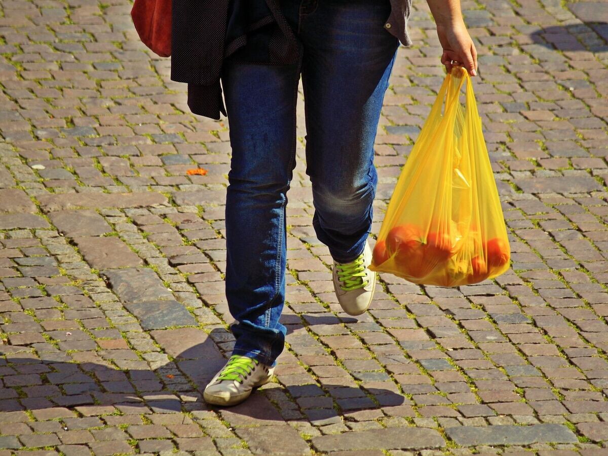    Покупатель с продуктами в пластиковом пакете | © cocoparisienne