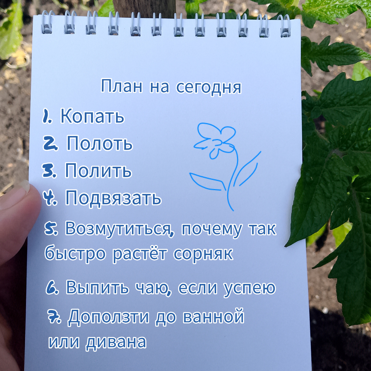 Фото автора канала Зелёное 💚 Царство