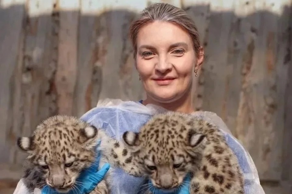    Юлия Шитова руководит Пермским зоопарком около семь лет. Фото: Пермский зоопарк.