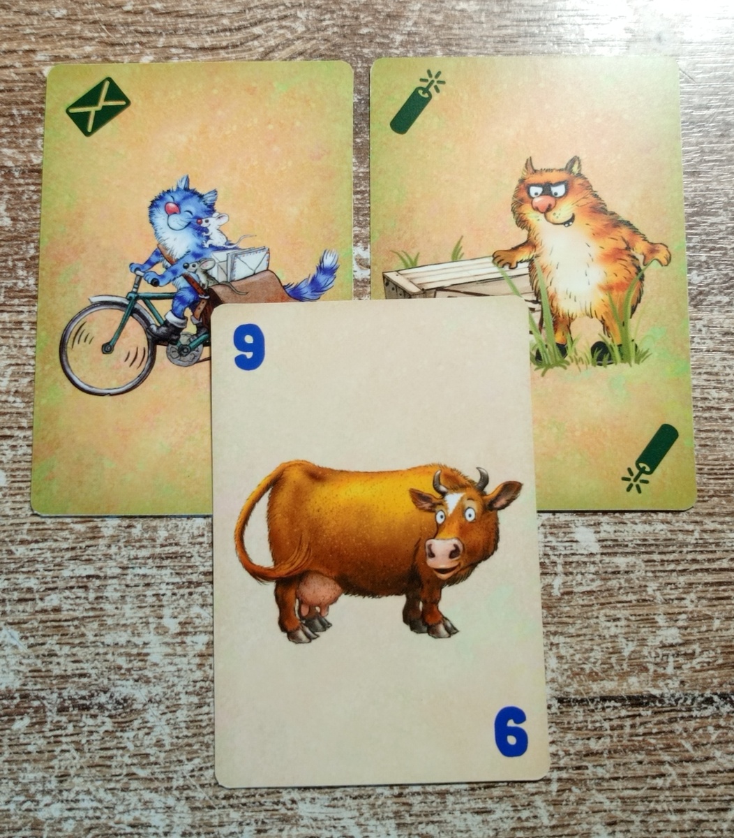 5 ход.