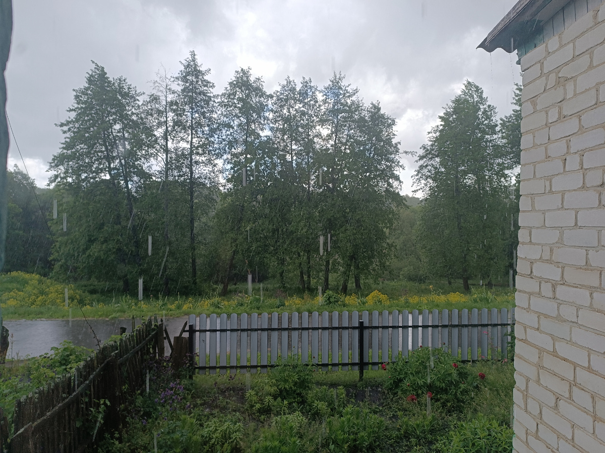 Дождь поливает