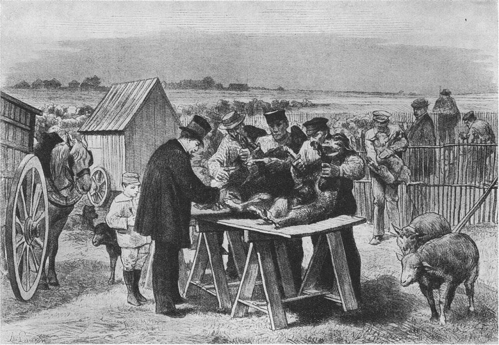 Публичный опыт вакцинации на ферме Пуйи-ле-Фор, 31 мая 1881 года. Автор: Auguste André Lançon (1836-1887)