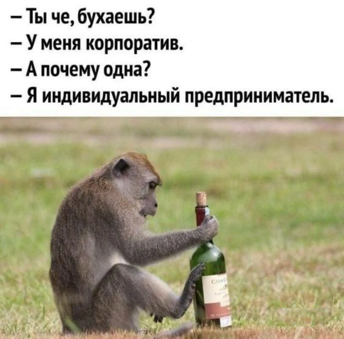 Фото из Яндекса. Спасибо автору