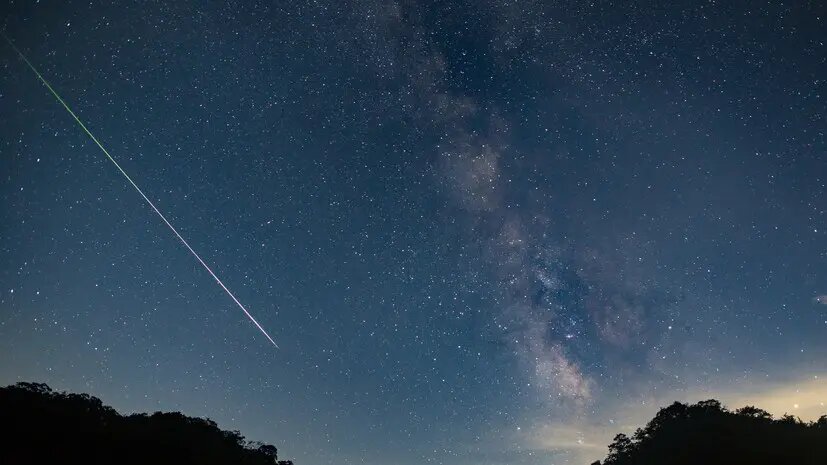    Источник: russian.rt.com Ярослава Мухина