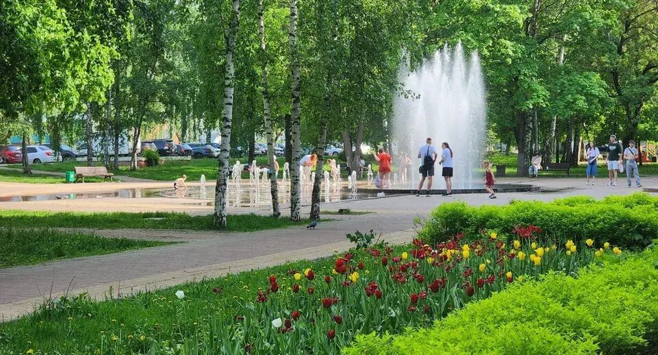    МедиаБанк Подмосковья/Ирина Моисеева
