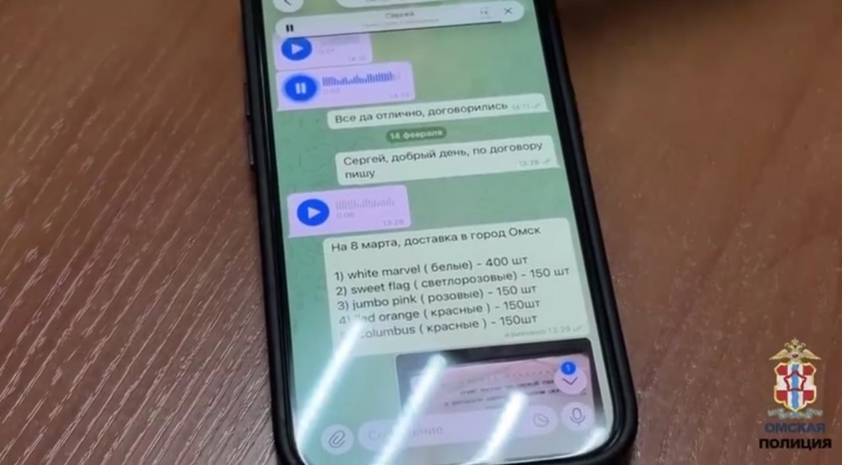    Telegram / УМВД по Омской области