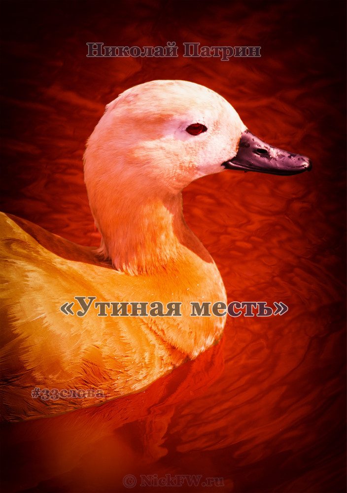 Обложка "Утиная месть" © NickFW.ru