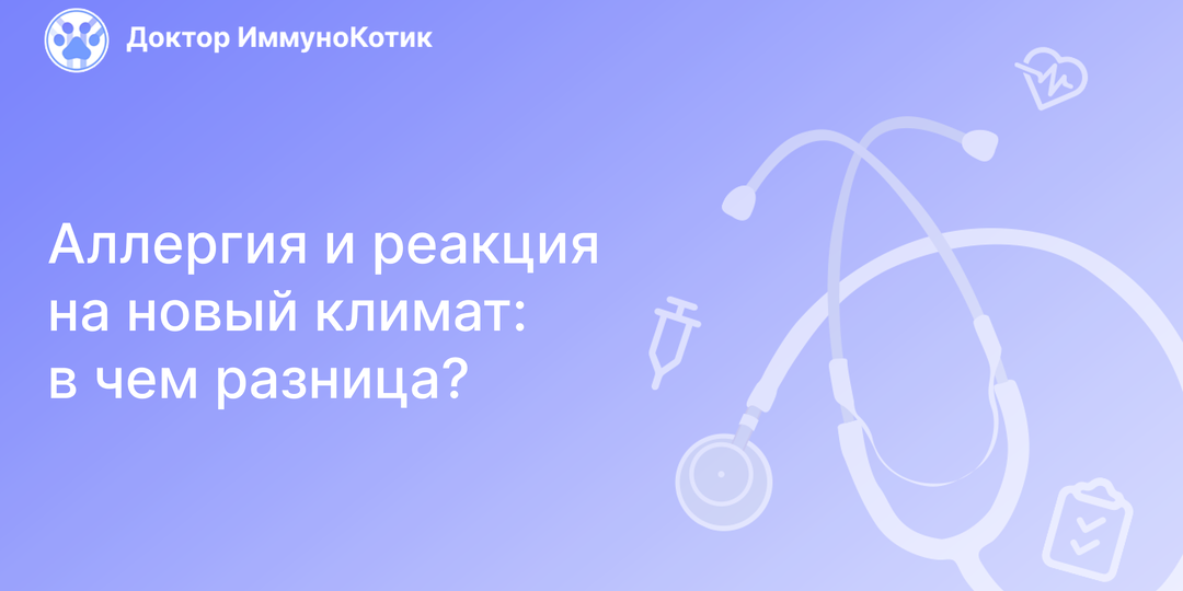 Аллергия и реакция на новый климат: в чем разница?