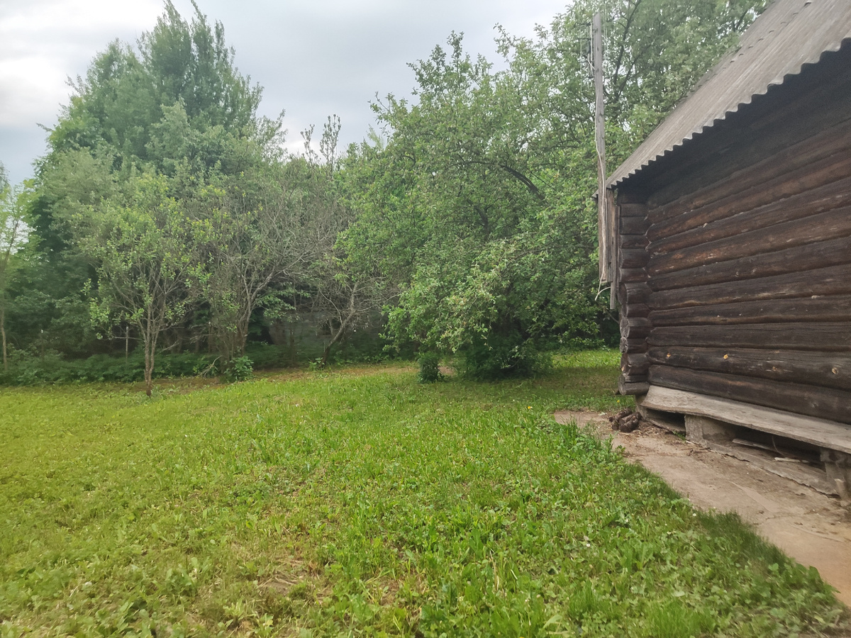 Участок в Подмосковье. Могу косить, могу не косить))) но косить надо! 