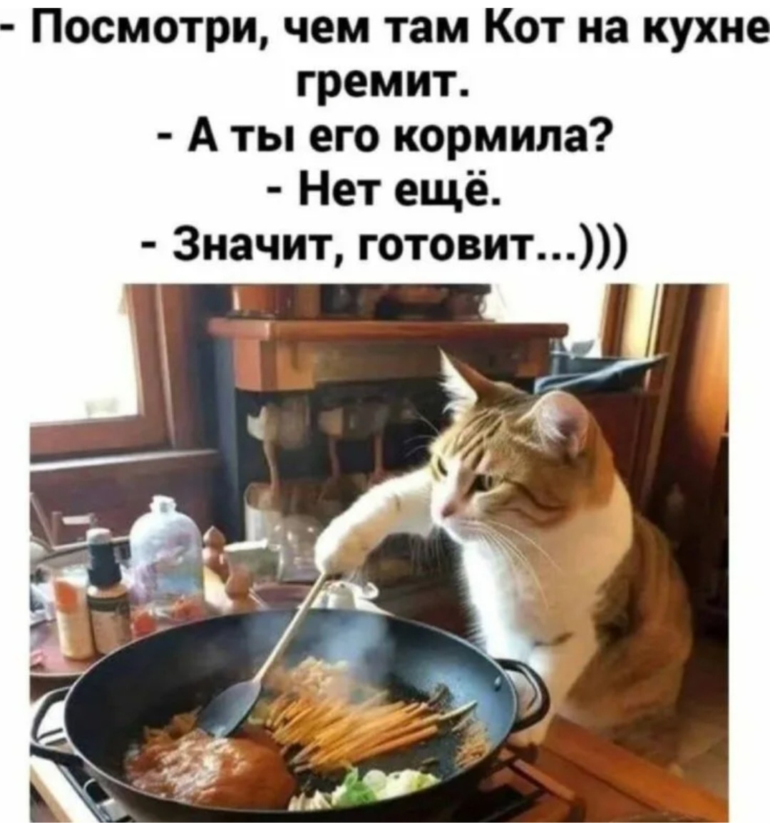Кот на кухне, --взято из интернета с целью ознакомления. 