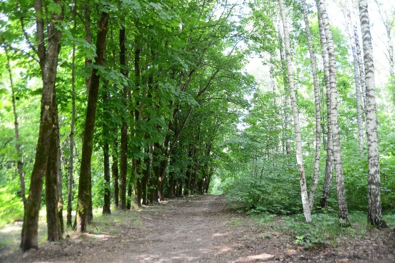    admin-smolensk.ru