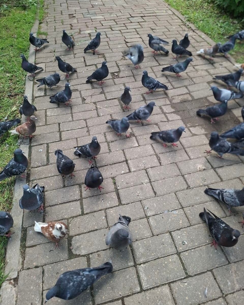 -2