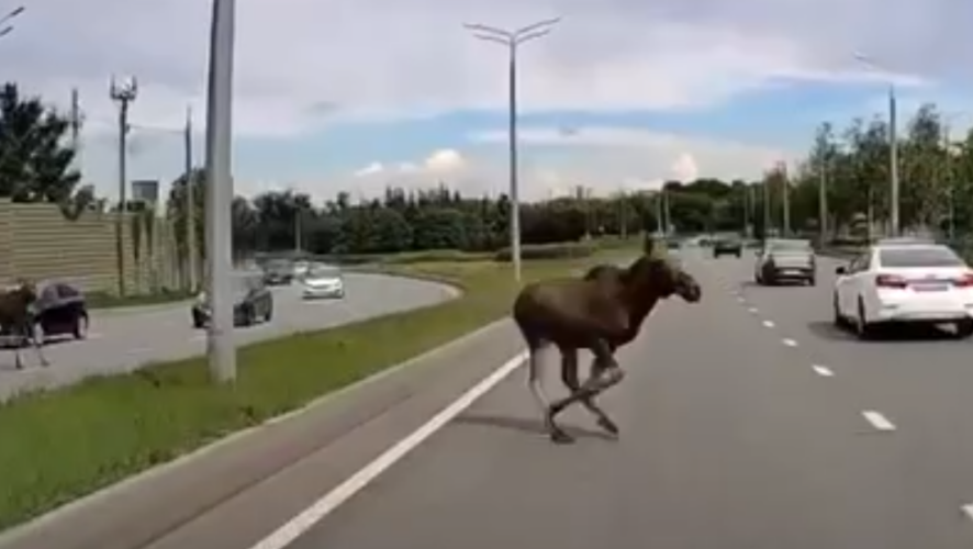    Фото: соцсети