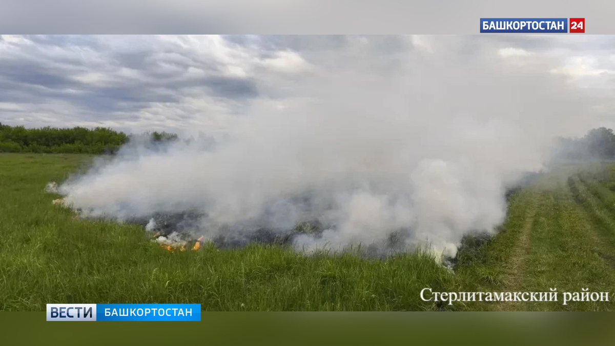    За сутки в Башкортостане зафиксировали один случай горения травы