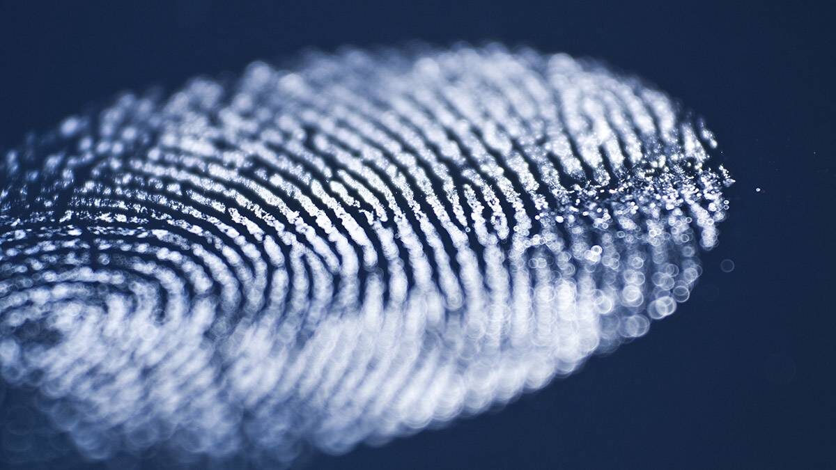    Фото: Shutterstock