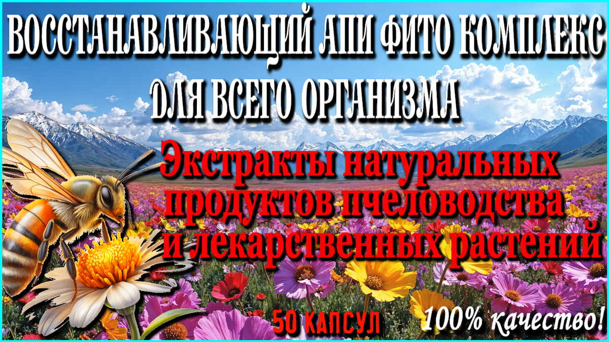 Апи-Фито Комплекс "Для восстановления организма" №50 капсул