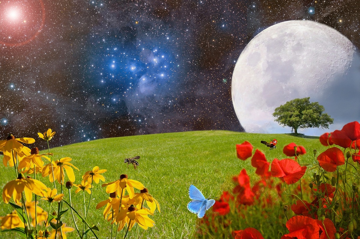 pixabay.com