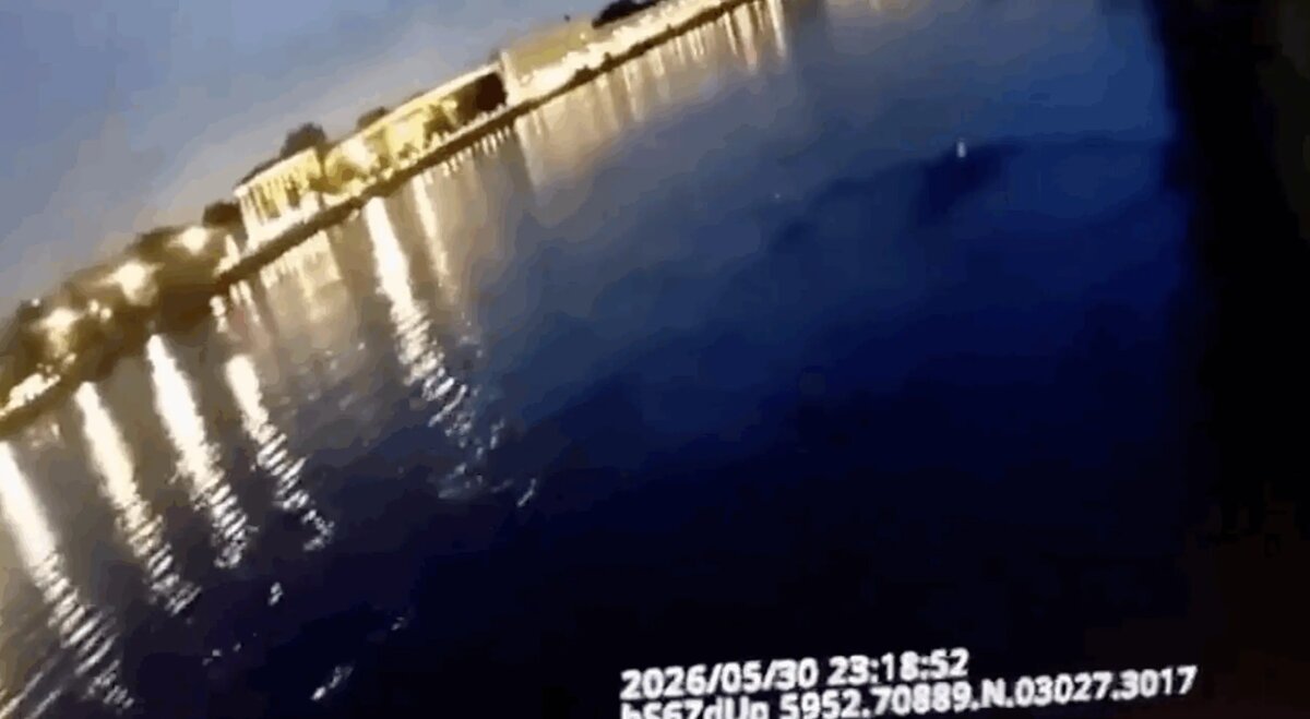    Фото: скриншот видео ГУ Росгвардии по Петербургу и Ленобласти