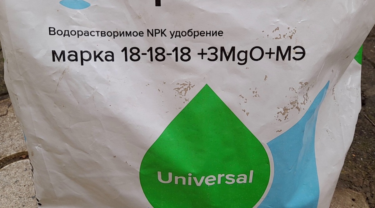 Первая подкормка баклажанов после высадки в грунт. Как получить богатый урожай. Фото автора