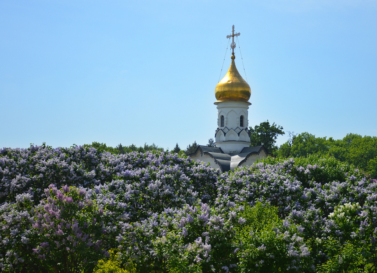 Море сирени!
