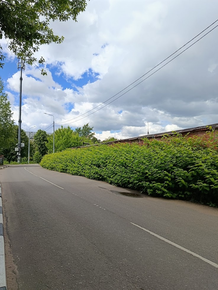 Фото автора.
