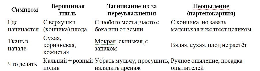 Таблица и фото Натальи Мироновой