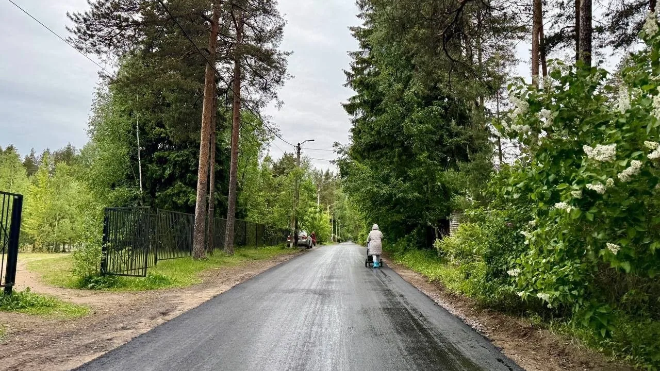 Фото: https://max.ru/vsevolojsk/AZ58pRDrQLQ