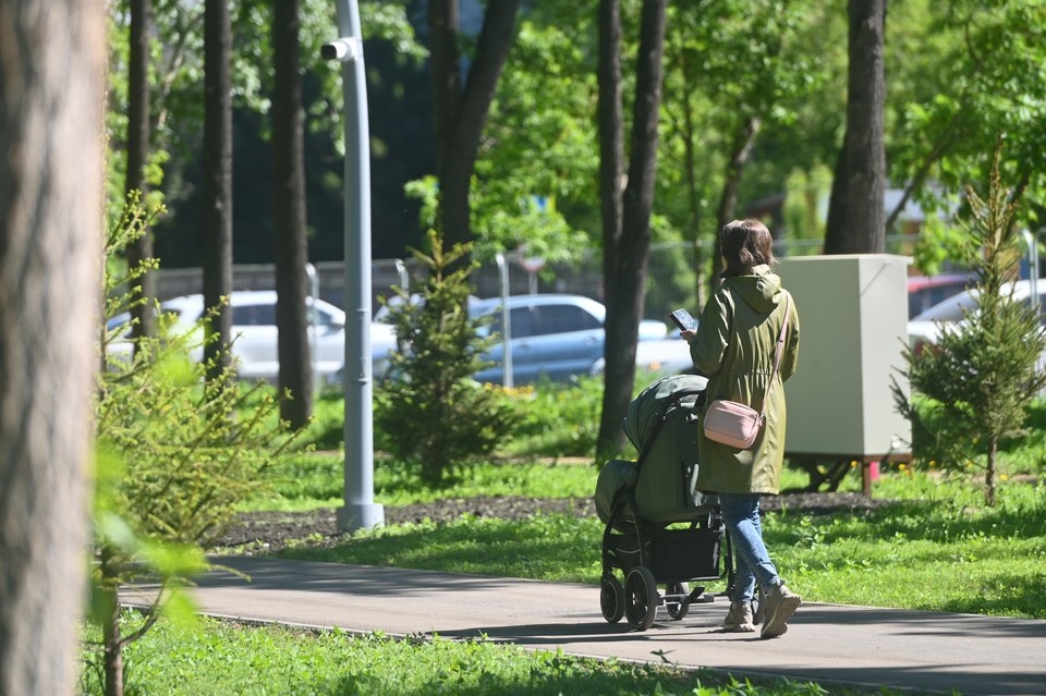    Торжественное вручение автомобилей семьям с восемью и более детьми прошло в Волгодонске. Ольга ЮШКОВА