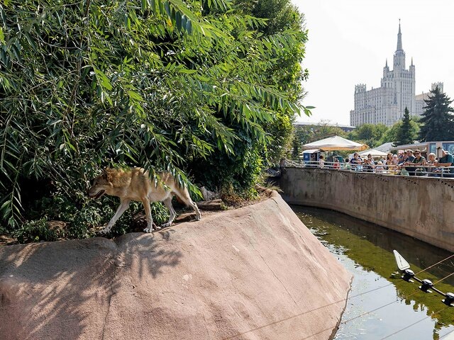    Фото: портал мэра и правительства Москвы/Олег Сосницкий