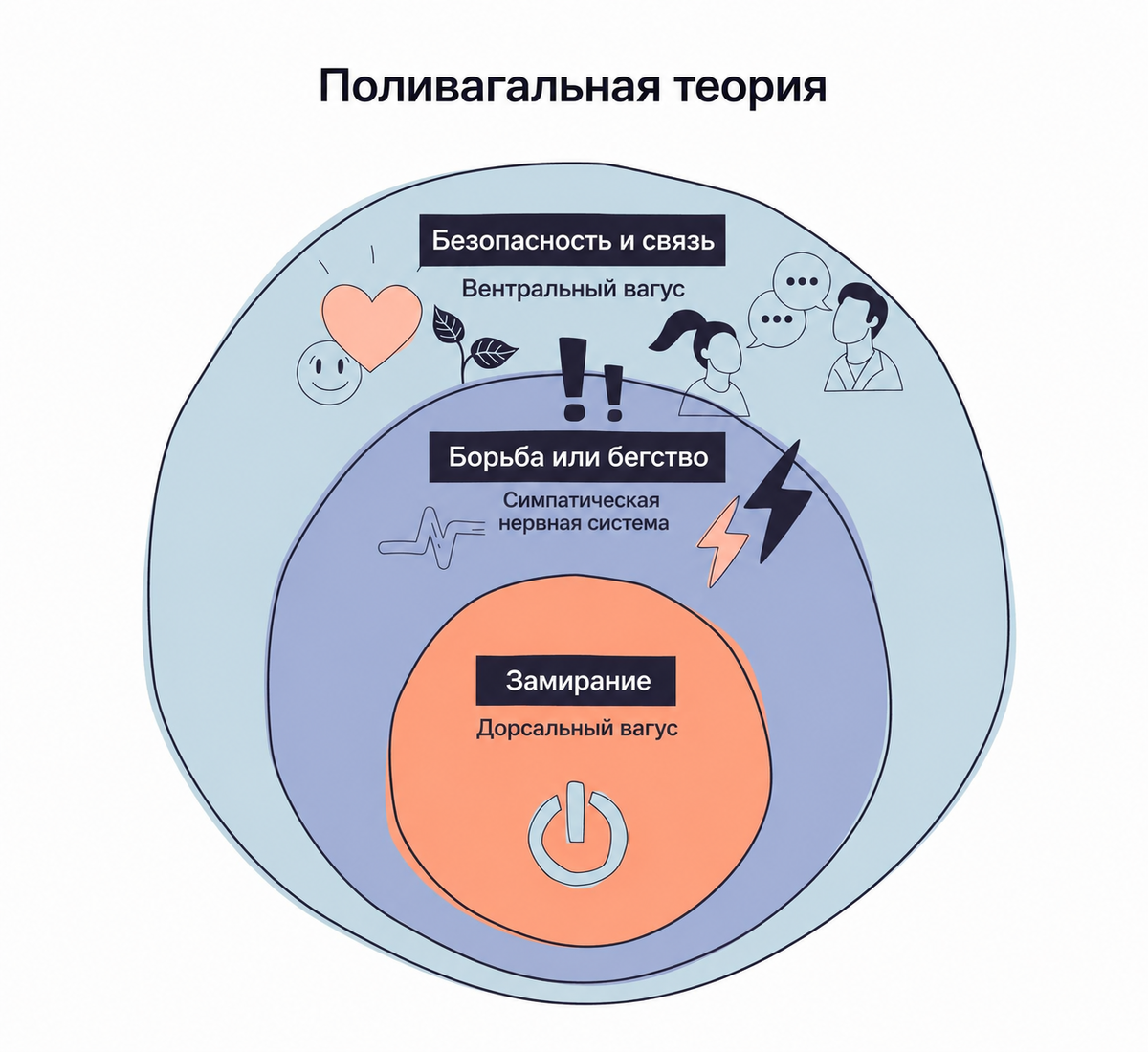 Три режима нашей нервной системы. Источник: VectorMine / Getty Images