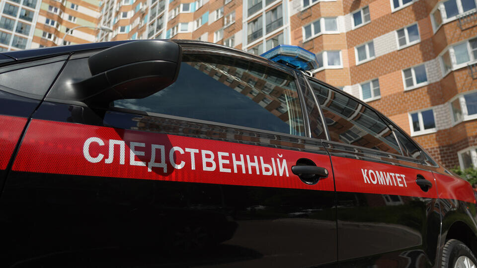     Дело возбудили после избиения школьницы двумя женщинами в Новой Москве ИЗВЕСТИЯ/Павел Волков