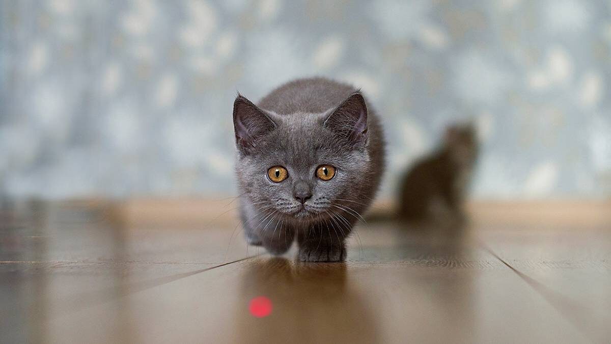    Фото: Shutterstock