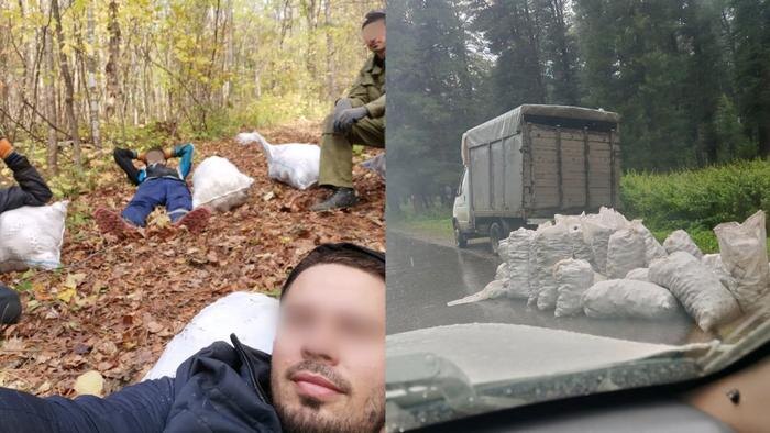 Обложка © Telegram / SHOT