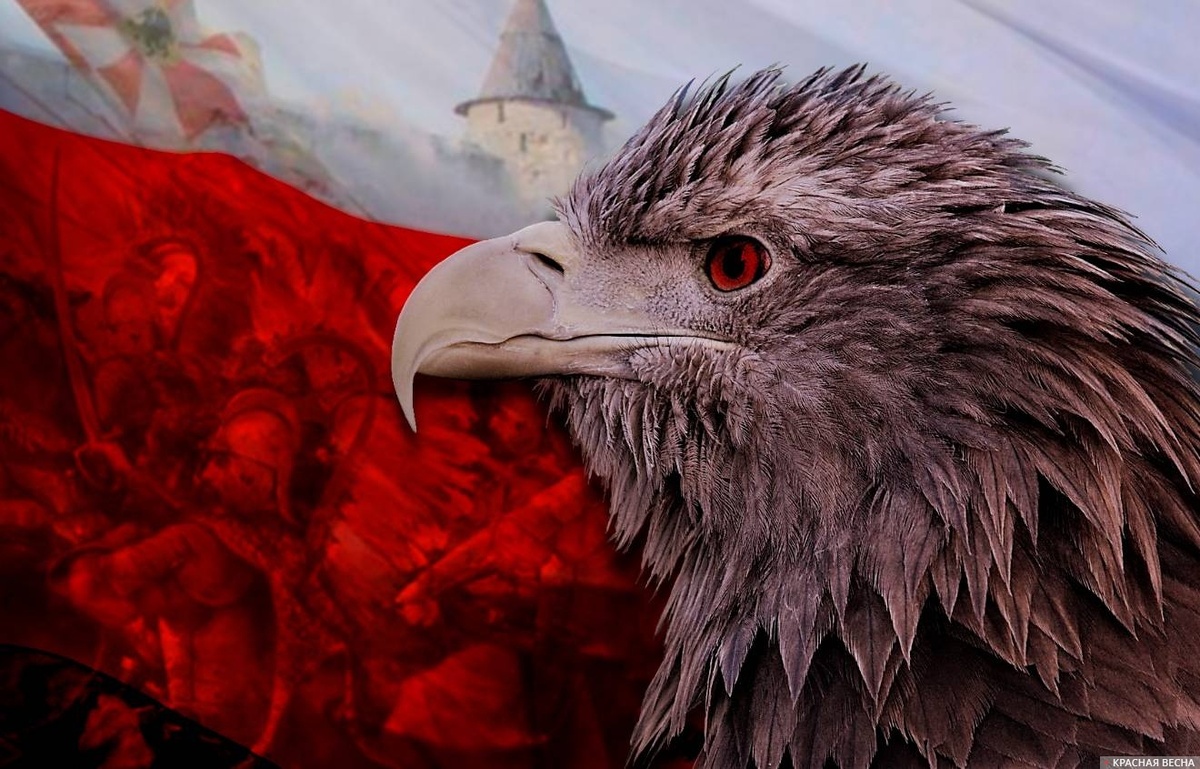     Польская агрессия   
Евгений Шляхов © ИА Красная Весна