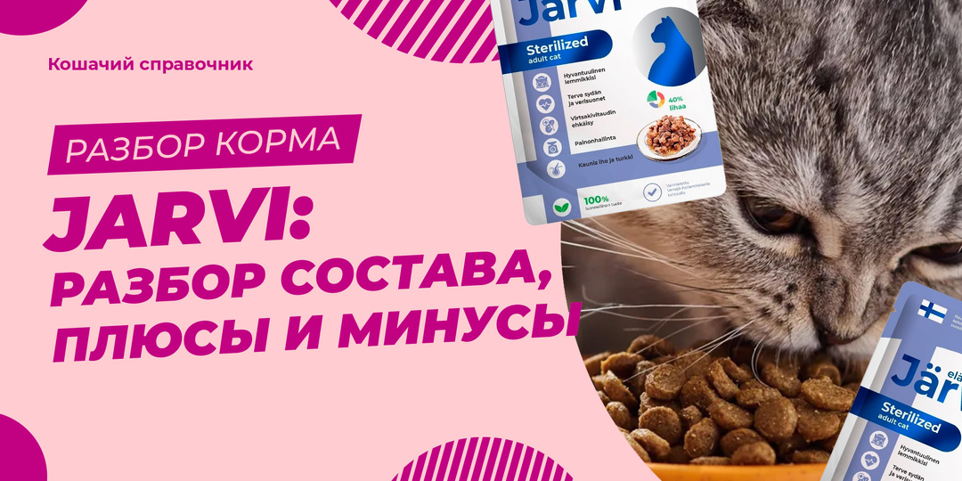 Корм Jarvi для кошек: разбор состава, плюсы, минусы и стоит ли покупать