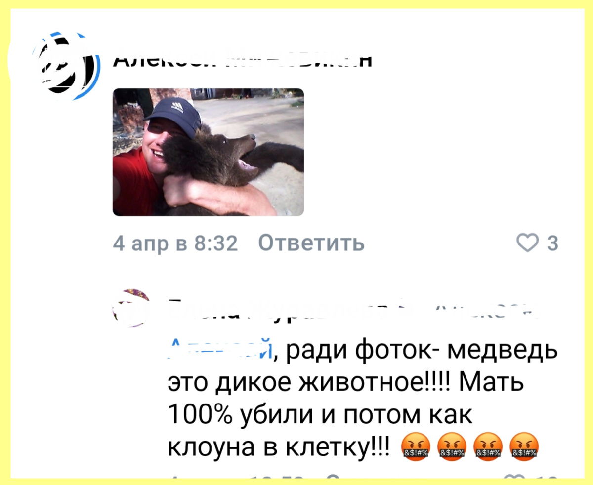 Фото из комментариев под обсуждениями про мишку в ВК
