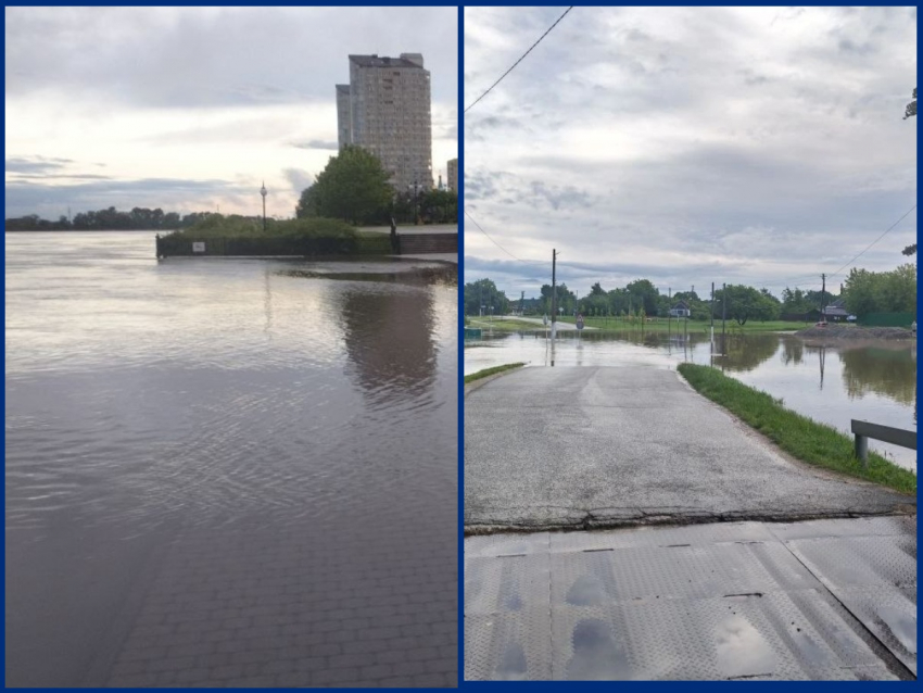 Фото: соцсети