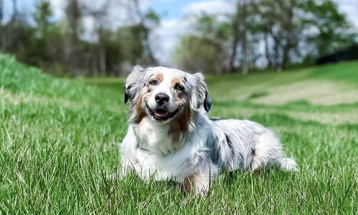 Отдых