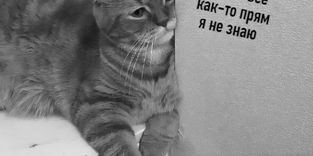 Психология и юмор №74