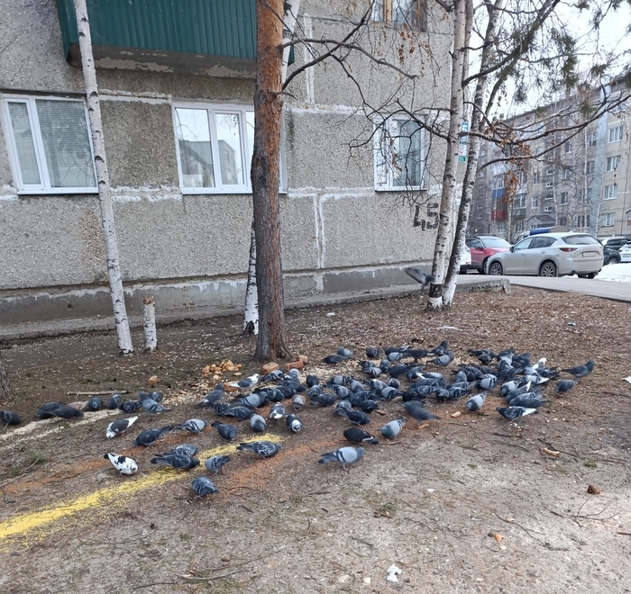 Листайте вправо, чтобы увидеть больше изображений
