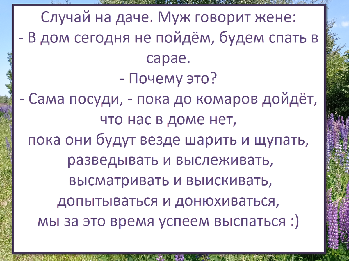шутку прислала Галина В. 
