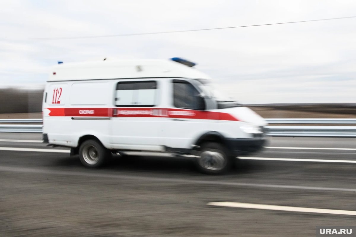     В Пятигорске 29 человек госпитализированы с кишечной инфекцией после посещения кафе
