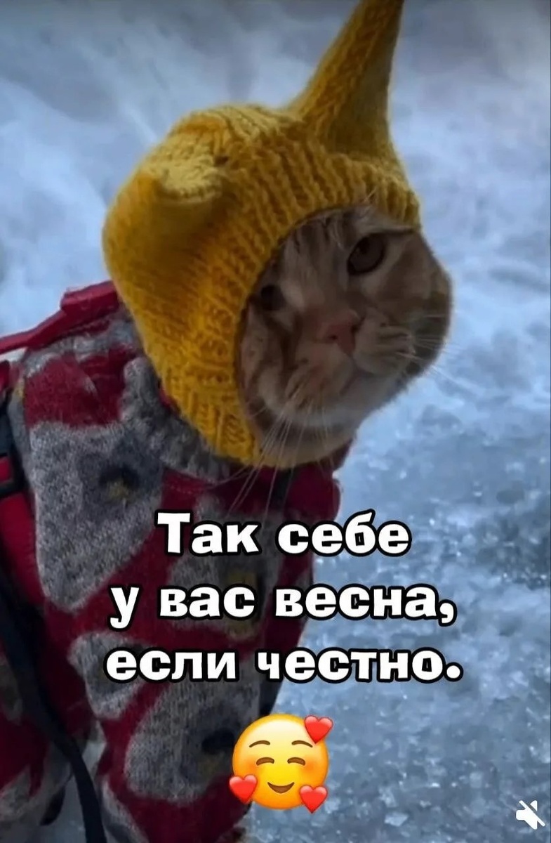 из просторов интернета