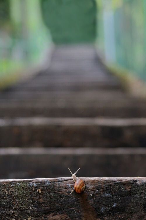 Фото из Pinterest